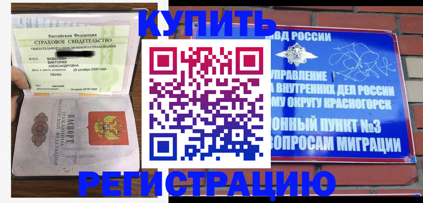 найти адрес прописки в Коле